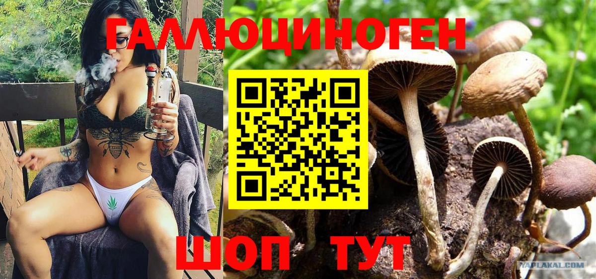 Галлюциногенные грибы Psilocybine cubensis  Вход с VPN  где можно купить наркотик  Анапа 